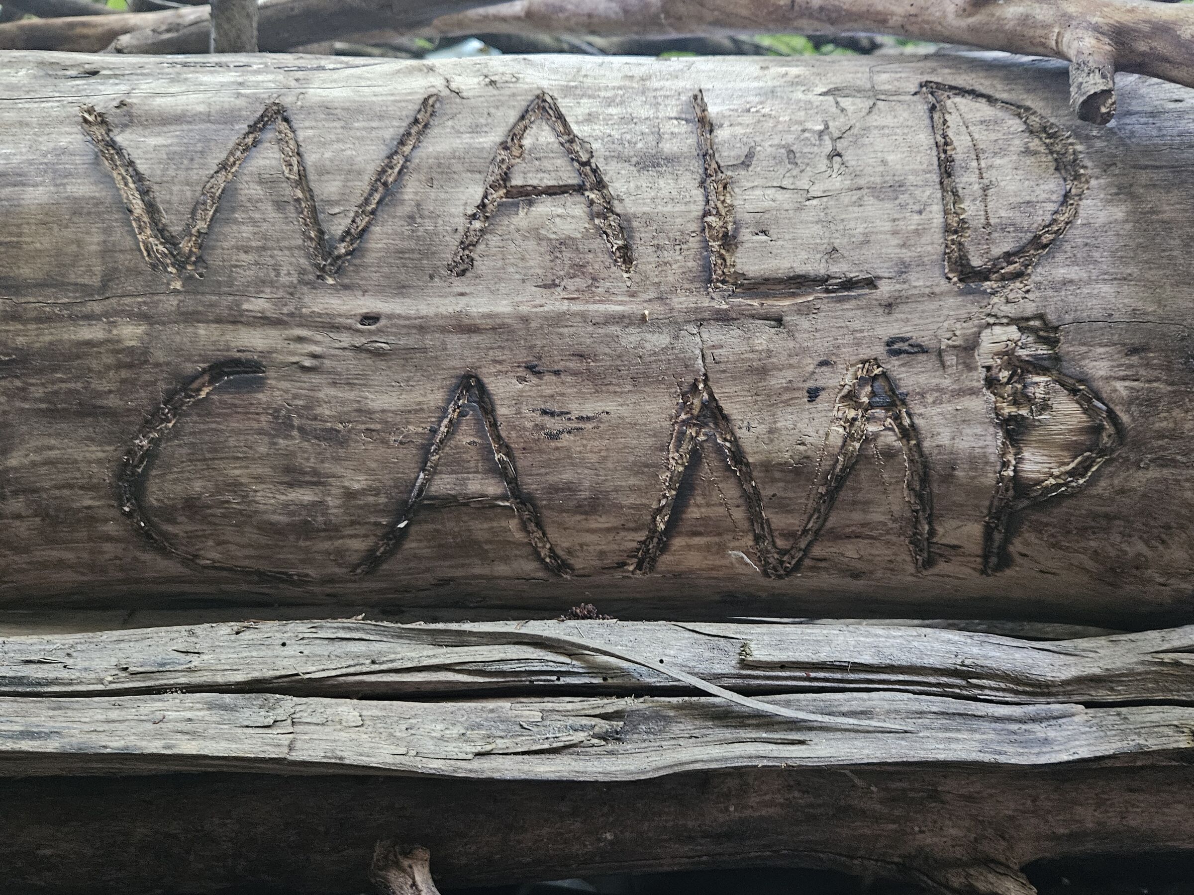 In einen Ast geschnitzter Schriftzug WALD CAMP